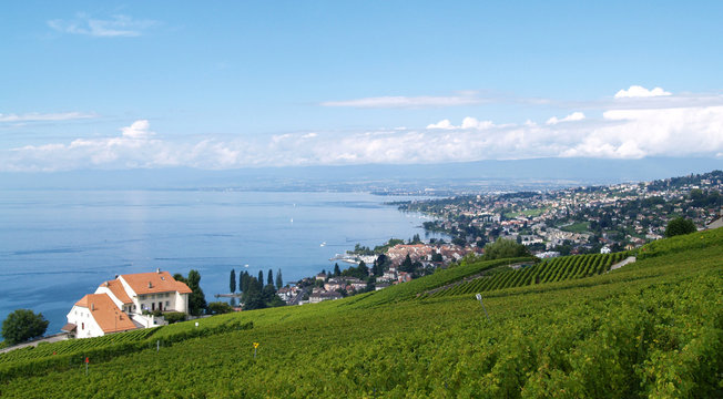ch&acirc;teaux et terrasses