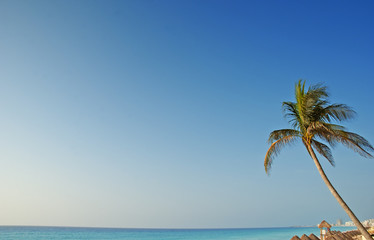 Fototapeta na wymiar plaża w Karaiby