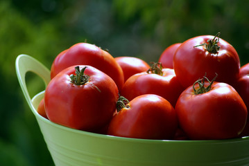 Close up on tomatoes in basket