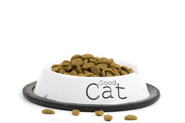 Cat's food
