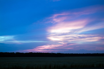 Decline in a wood. Night