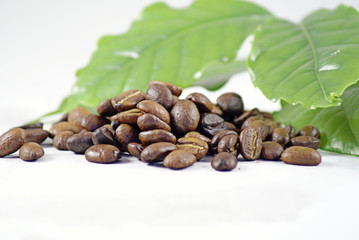 Coffee Beans and Leaf