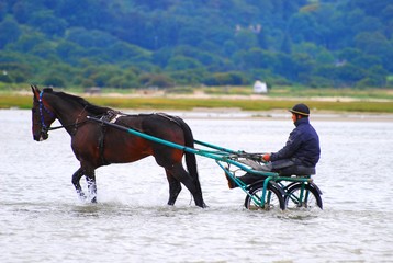 promenade dans l'eau