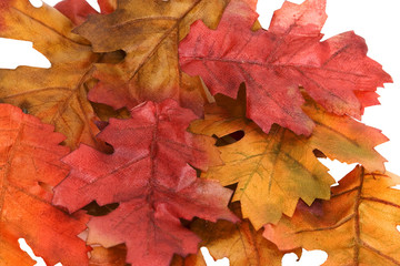 Autumn Leaves