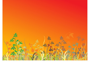 Fototapeta na wymiar Abstract grass background. Vector illustration