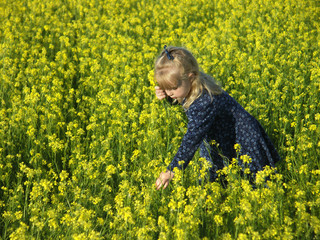 Fototapeta premium Picking flowers