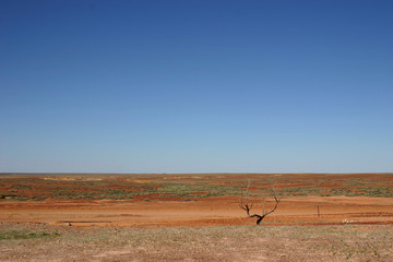 Im Outback Australiens, Alice Springs