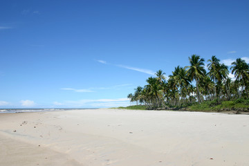 Fototapeta na wymiar Strand and der Ostküste Brasiliens nahe Olivenca
