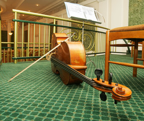 viola