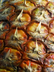 Fototapeta premium Peau d'ananas