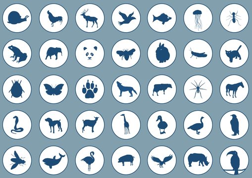 Icons animals 2