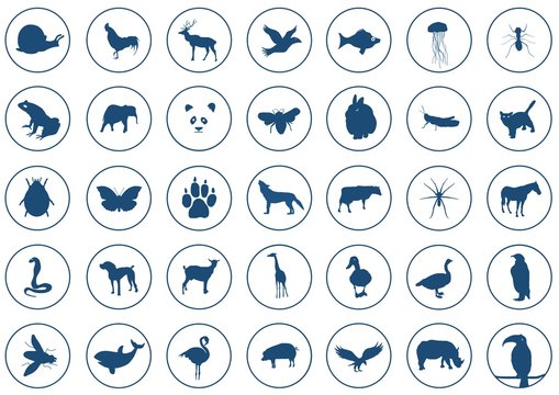 Icons animals