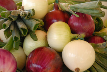 Display of red, white and green onions