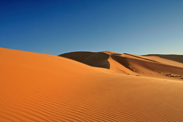 Fototapeta na wymiar Desert samotności