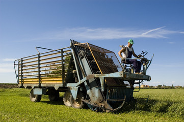 Obraz premium tagliaerba