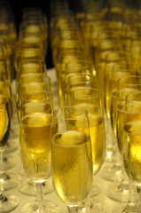 Champange