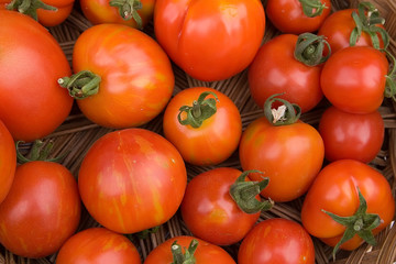 Organic tomatoes