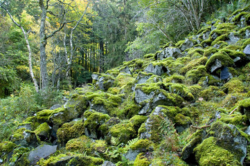 Slope of basalt blocks 