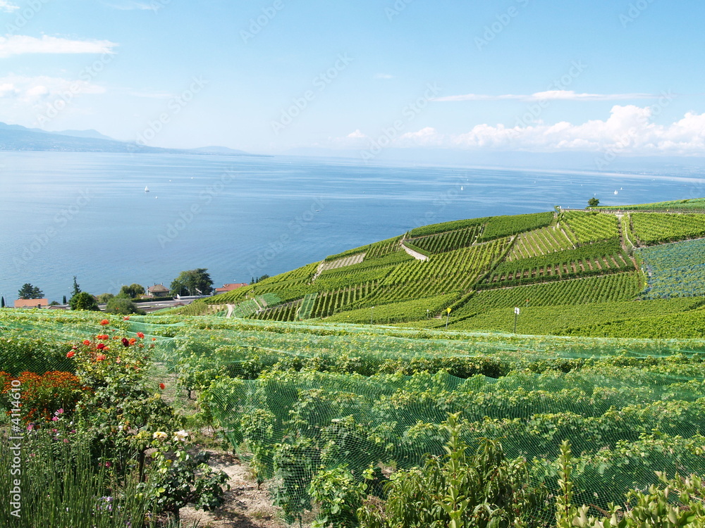 1000_F_4114610_fGW52rItBOSD9XeLdZP5ofvt5l22WKS1.jpg