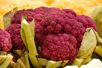 Purple Broccoli