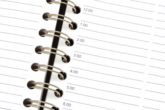 Daily appointments sheet - opened agenda background