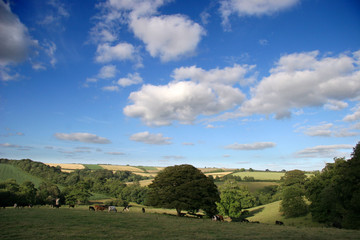 view over fields