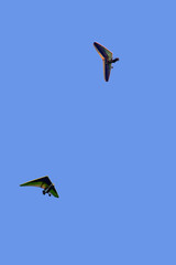 two hang-gliders