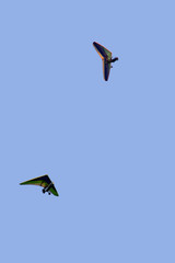 hang-gliders