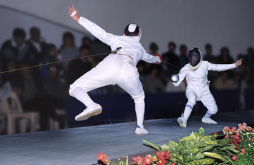 Fencing public-1c 