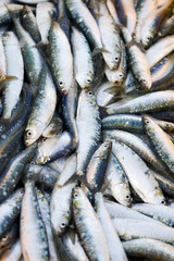 Fresh sardines packed at outdoor market