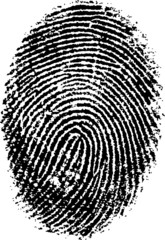 Vector Fingerprint