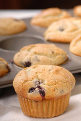Fresh warm blueberry muffins in a muffin pan