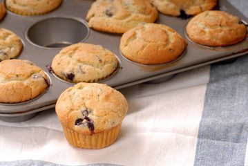 Obraz na płótnie Canvas Fresh warm blueberry muffins in a muffin pan with one in front