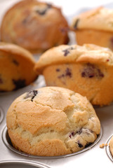 Close up of fresh warm blueberry muffins in a muffin pan