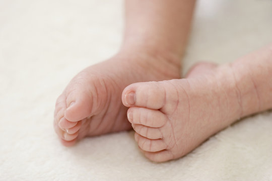 Newborn baby feet on soft blanket close-up