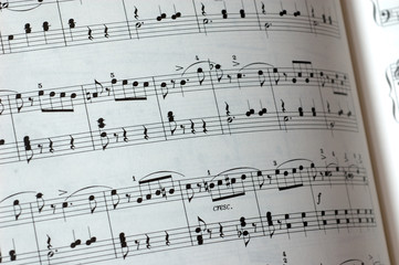 Music notes