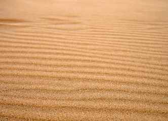 dune sand anywhere of World