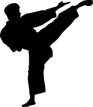 Karate guy