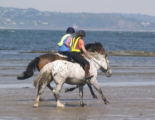 beach riders