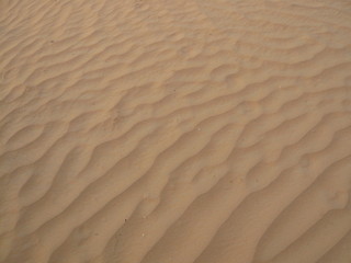 Desert Waves