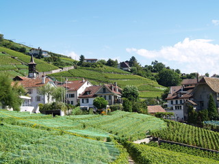 village de vignerons...la villette
