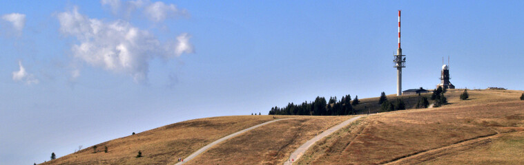 Schwarzwald © reinhard sester