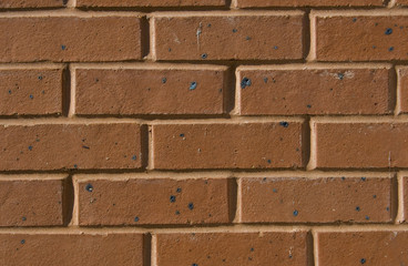 Obraz premium Brick Wall