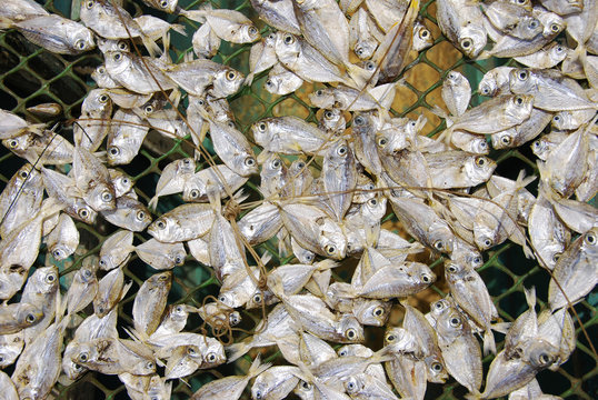 Dried Fish