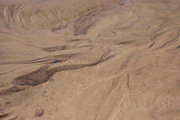 Obraz na płótnie Canvas beach, grains, ground, holidays, sand, sea, shells, tide