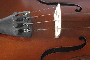 violino