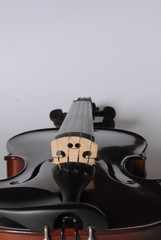 violino