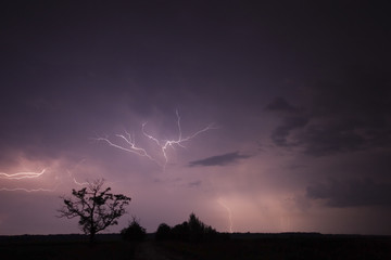 Storm with a tree