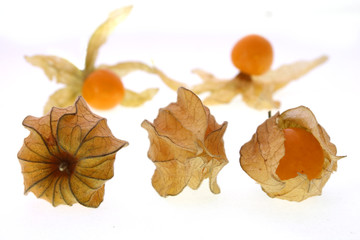 three physalis berryes