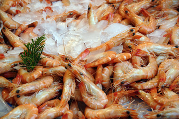 Crevettes dans la glace